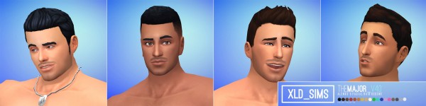  Simsworkshop: The Major Facial Hair by Xld Sims