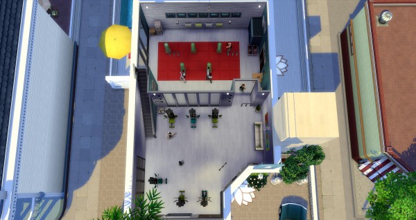  Studio Sims Creation: The Flash – Salle de Sport