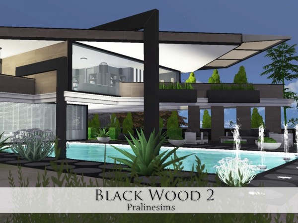  The Sims Resource: Black Wood 2 by Pralinesims