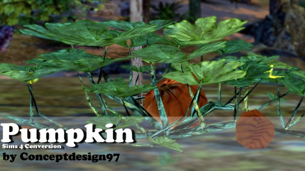  Simsworkshop: Vines & Pumpkin 1.0  Plants Set  by ConceptDesign97