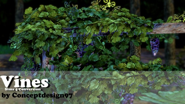  Simsworkshop: Vines & Pumpkin 1.0  Plants Set  by ConceptDesign97