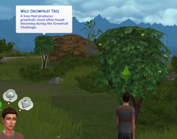  Mod The Sims: Growfruit Tree Glow Removed  by Shimrod101