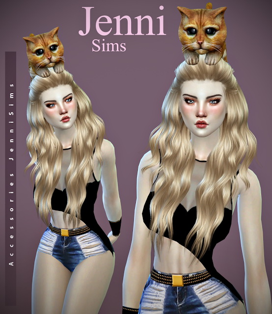  Jenni Sims: Accessory Cat