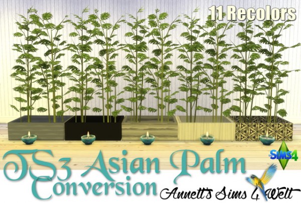  Annett`s Sims 4 Welt: Asian Palm