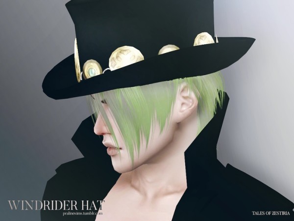  The Sims Resource: Windrider Hat by Pralinesims