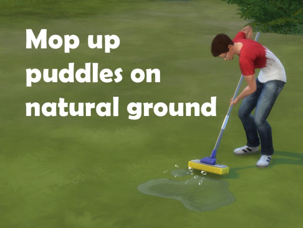  Mod The Sims: Mop up puddles on natural ground by telford