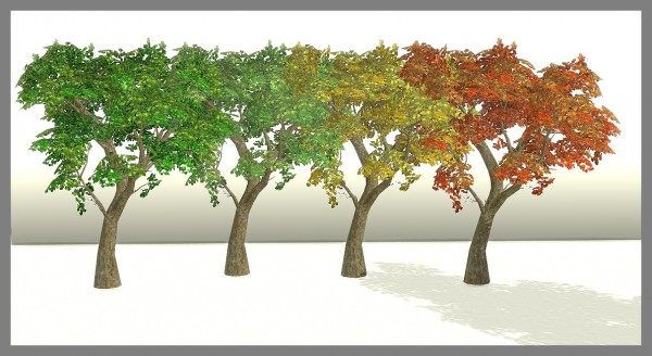  Sims 4 Designs: All Seasons Trees