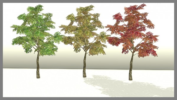  Sims 4 Designs: All Seasons Trees