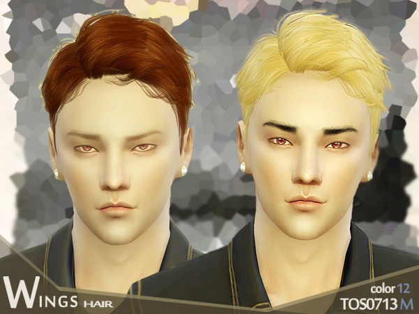  The Sims Resource: Hair TOS0713 by wingssims