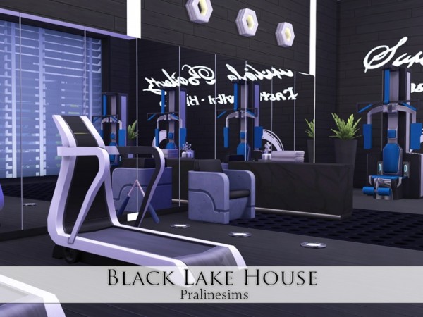  The Sims Resource: Black Lake House by Pralinesims