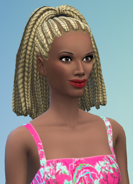 Birkschessimsblog: Higher Braids female • Sims 4 Downloads