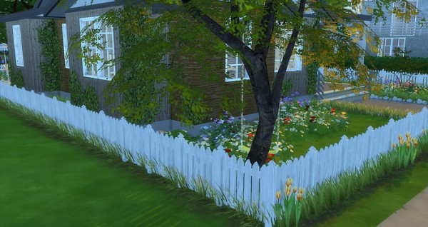  Caeley Sims: Grandparents Little House