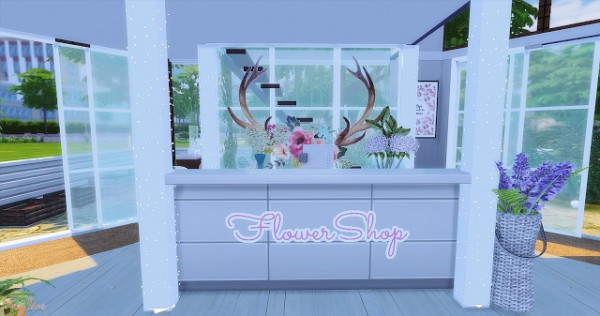  Mony Sims: Flower Shop