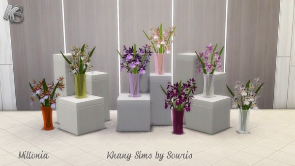  Khany Sims: Flower Vases by Souris