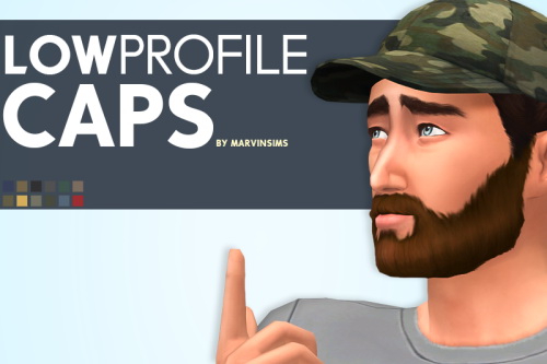  Marvin Sims: Low Profile Caps