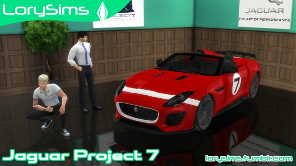  Lory Sims: Jaguar Project 7