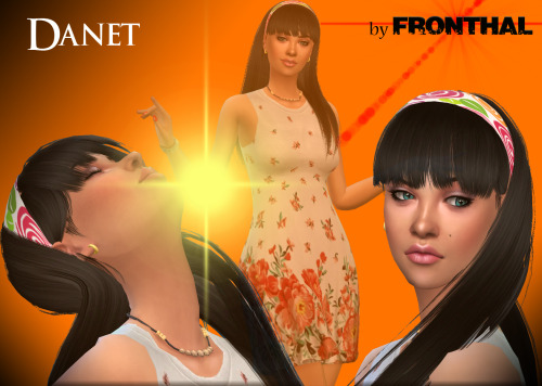  Fronthal: Danet sims model