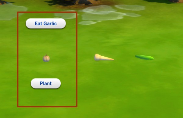  Mod The Sims: Trio of Veggies   Custom Garlic, Parsnip and Cucumber by icemunmun