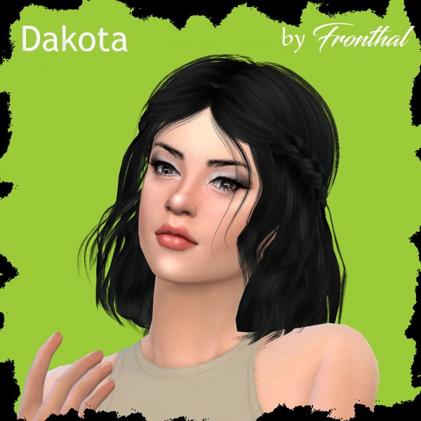  Fronthal: Dakota sims model