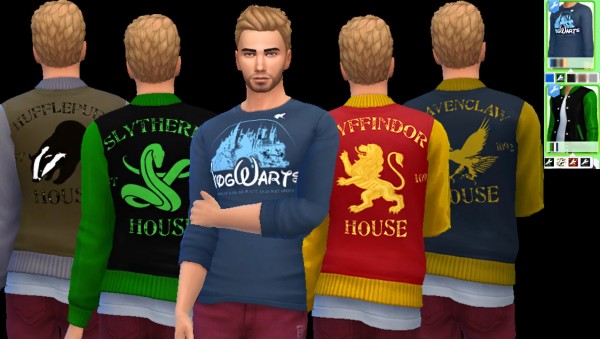  Auri Sims: Harry Potter Pack