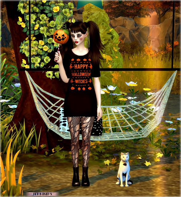  Jenni Sims: Wand, Decorative Cat Pumpkin HalloweenTime