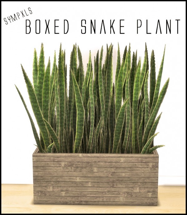  Simsworkshop: Boxed Snake Plant by Sympxls