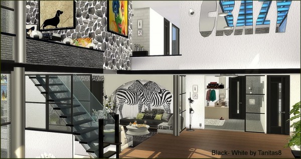  Tanitas Sims: Black  White Penthouse