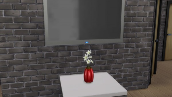  La Luna Rossa Sims: Plain Vase with Flowers