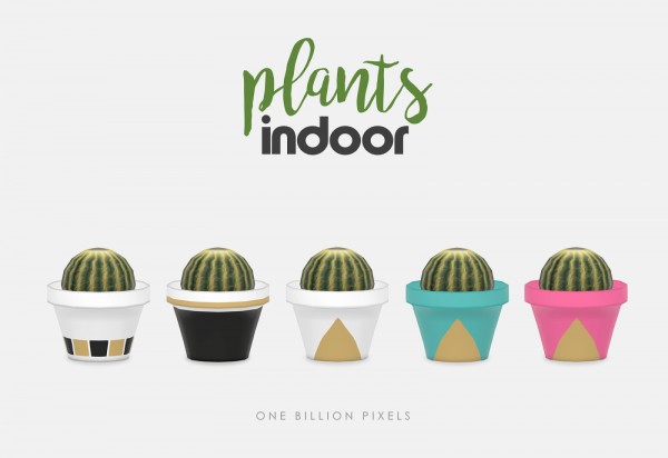  One Billion Pixels: Indoor plants