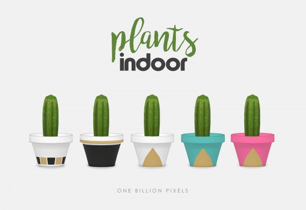  One Billion Pixels: Indoor plants