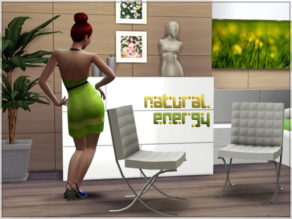  Sims Studio: Natural Energy