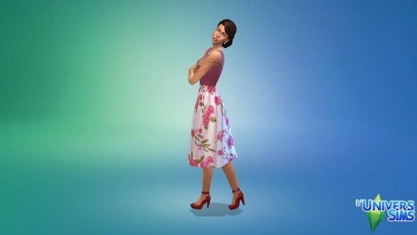  Luniversims: Constance sims model