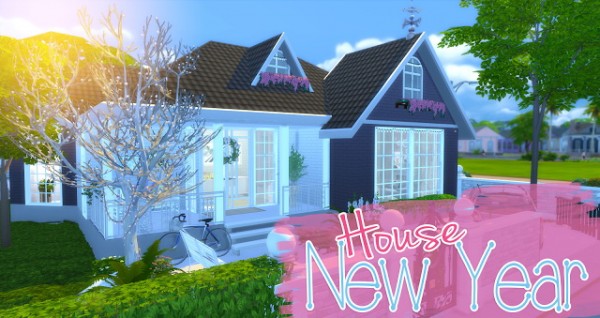  Mony Sims: New Year house