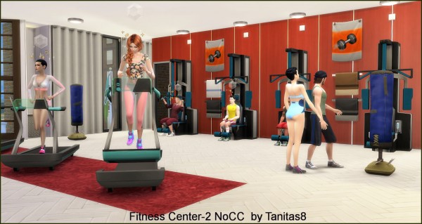  Tanitas Sims: Fitness Center 2 NoCC