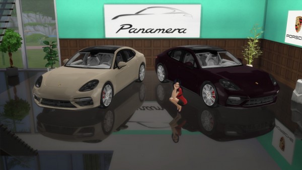  Lory Sims: Porsche Panamera Turbo