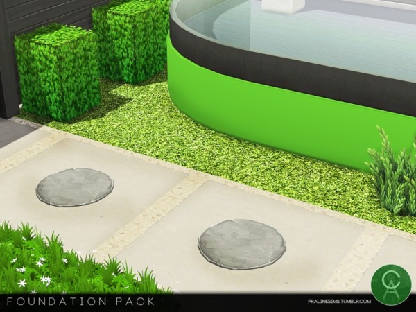  The Sims Resource: Foundation Pack by Pralinesims