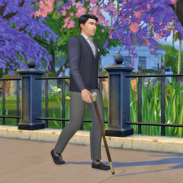  History Lovers Sims Blog: Walking Canes / Sticks