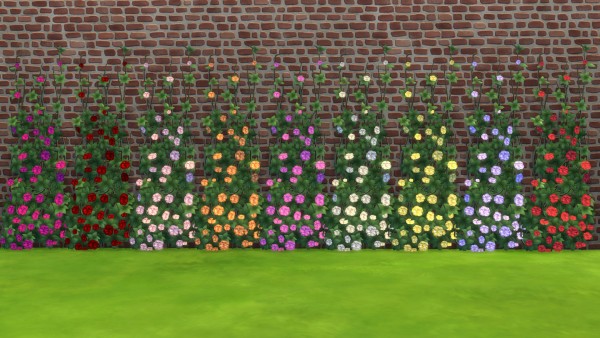  Mod The Sims: Rose Climber by Snowhaze