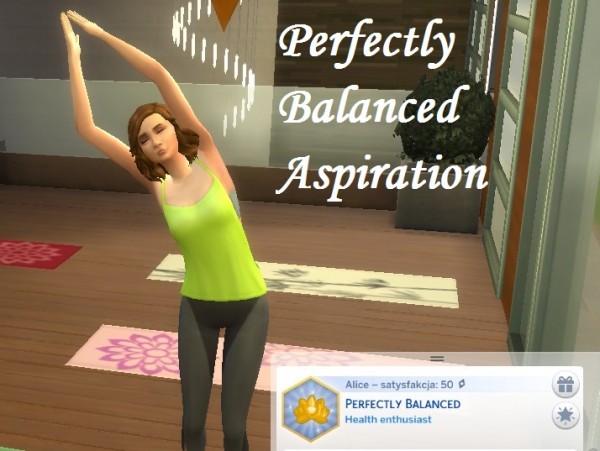  Mod The Sims: Perfectly Balanced Aspiration by IlkaVelle