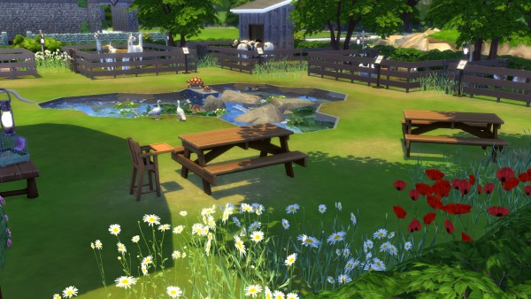  Mod The Sims: Fuzzy Friends Petting Zoo by Snowhaze