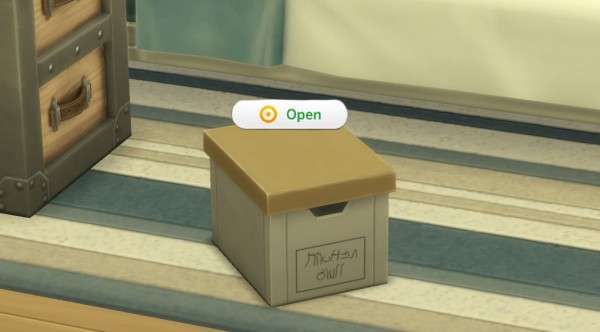  Mod The Sims: Not So Secure Storage   A simple storage box by KeirKieran