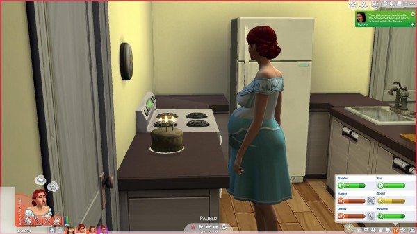  Mod The Sims: Pregnant Aging & Death by PolarBearSims