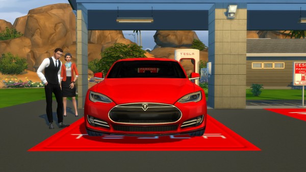  Lory Sims: Tesla Model S