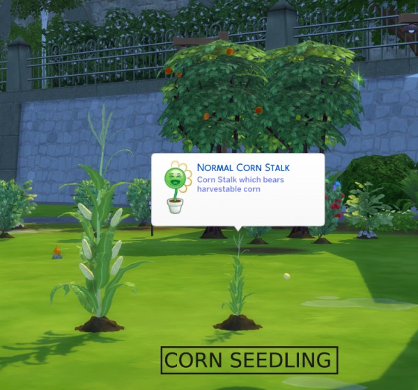  Mod The Sims: Harvestable Corn Stalk + Optional Popcorn Popper requires Corn Override by icemunmun