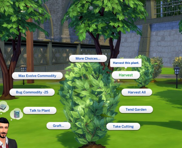  Mod The Sims: Custom Harvestable Green Chili by icemunmun