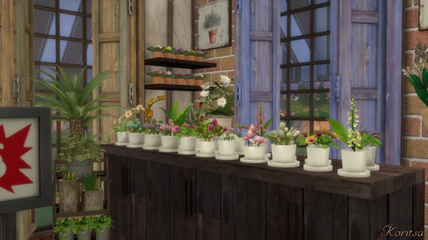 Angelina Koritsa: The green place flower shop