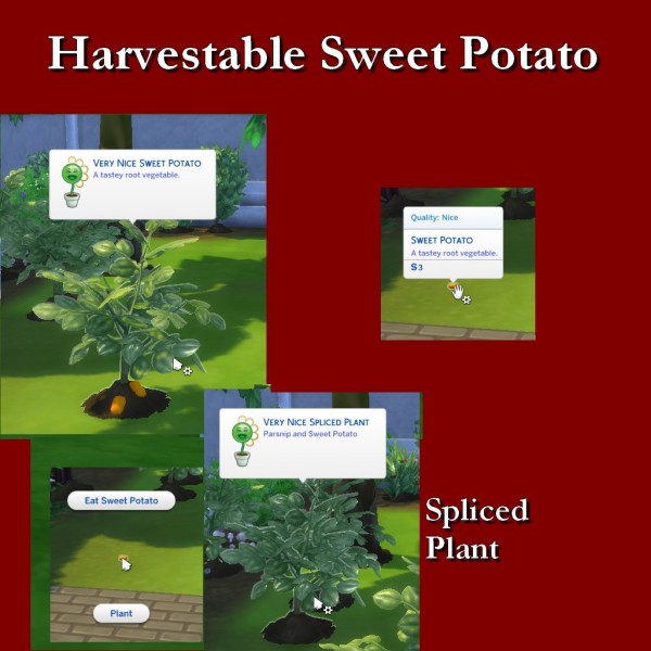  Simsworkshop: Harvestable Sweet Potato by Leniad