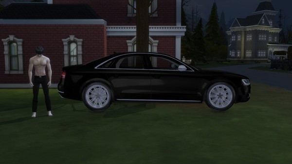 Lory Sims: Audi A8