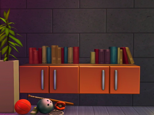  Chillis Sims: Seperated Books