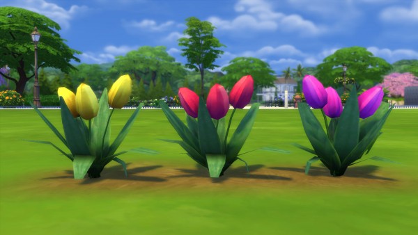  Mod The Sims: Amsterdam Tulips by Snowhaze